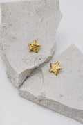 Aretes Lyra