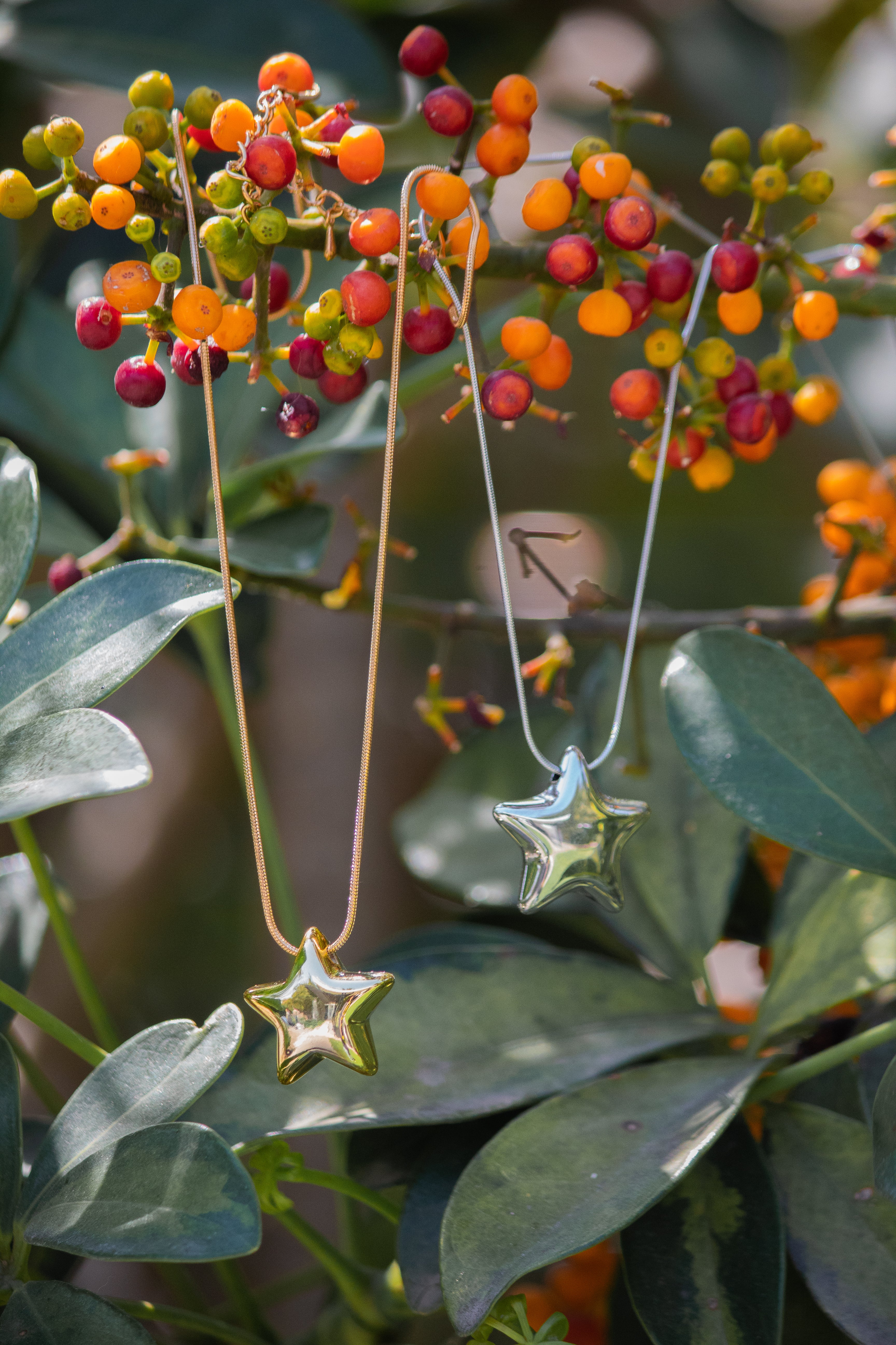 Collar Estrella