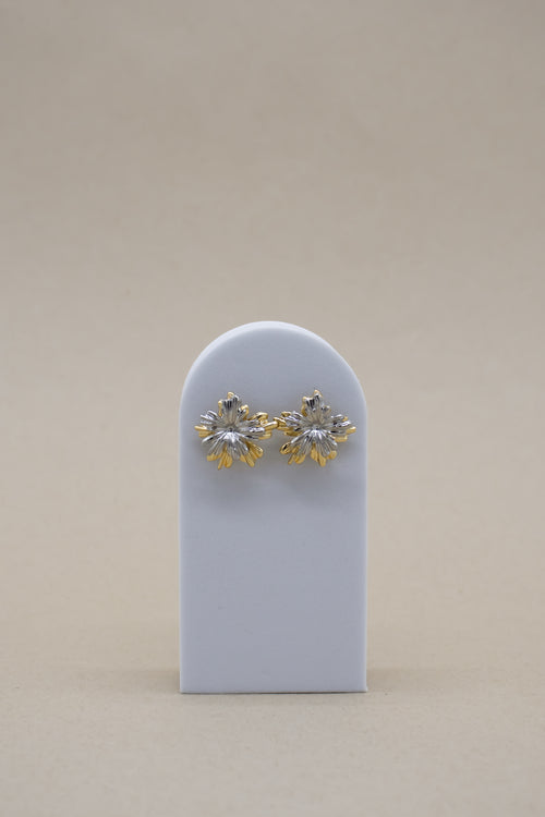 Aretes Aurora